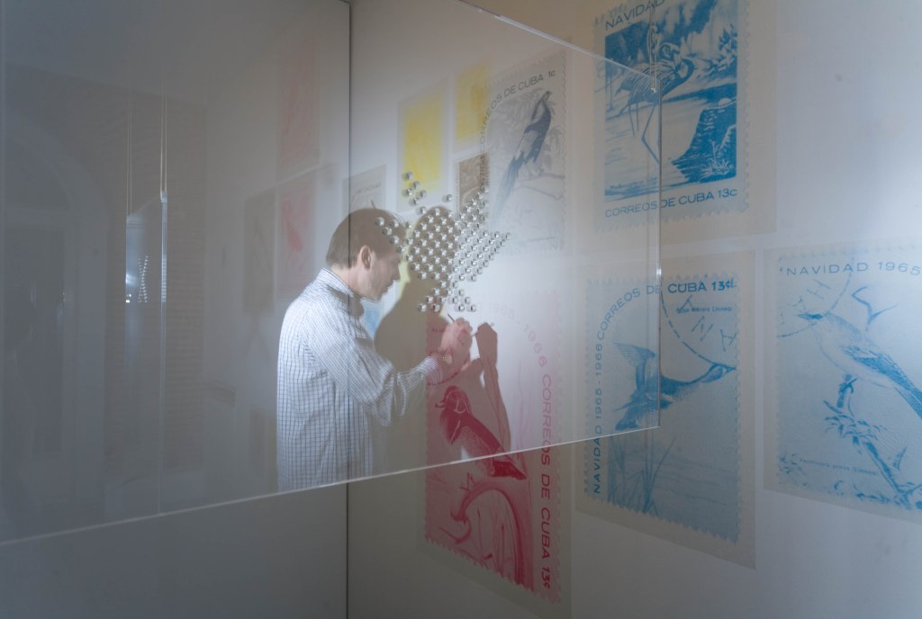 Diango Hernandez installant "Las Aves Que Nunca Volaron", Benveniste Contemporary IMG_8482b